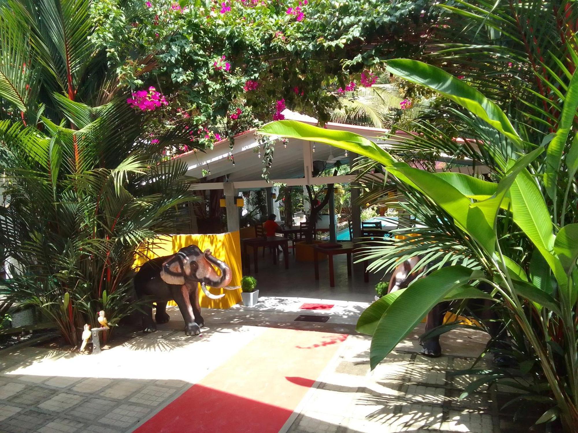 La Perla Bentota Otel Dış mekan fotoğraf