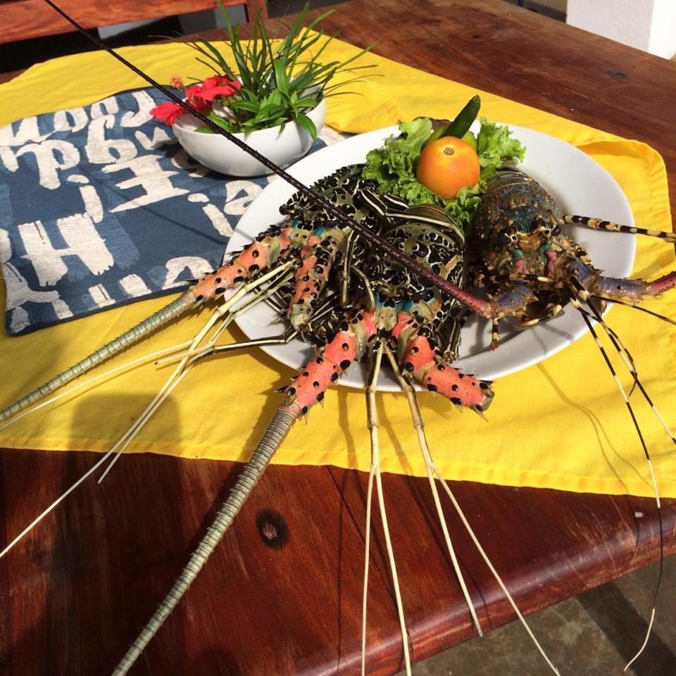 La Perla Bentota Otel Dış mekan fotoğraf